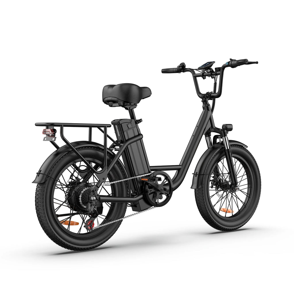 URLIFE E20 Electric Bike For Adults 250W Motor Electric Bike 48V 13AH 20 Inch Tires City Commuter Electric Bike