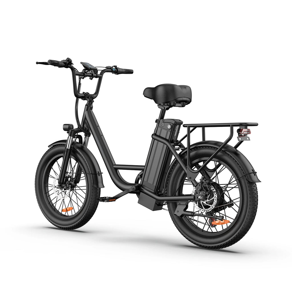 URLIFE E20 Electric Bike For Adults 250W Motor Electric Bike 48V 13AH 20 Inch Tires City Commuter Electric Bike