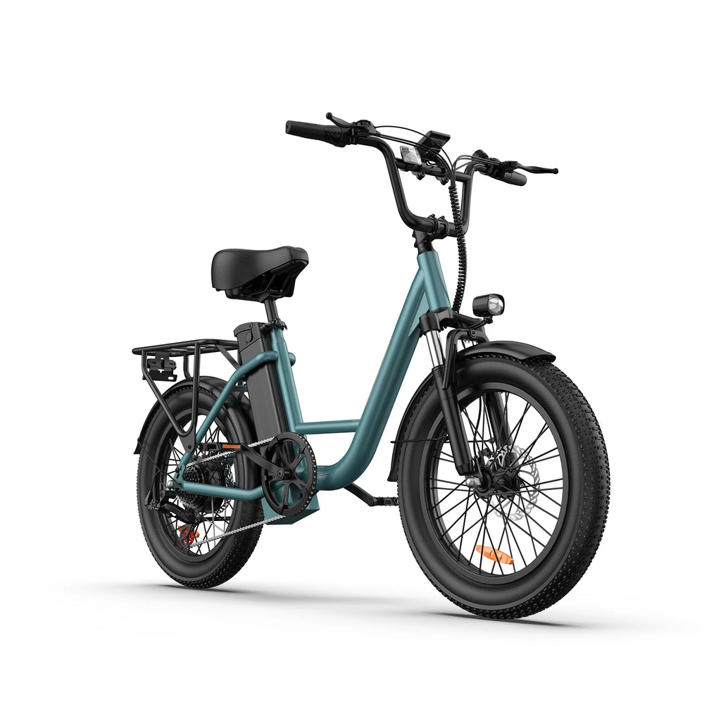 URLIFE E20 Electric Bike For Adults 250W Motor Electric Bike 48V 13AH 20 Inch Tires City Commuter Electric Bike