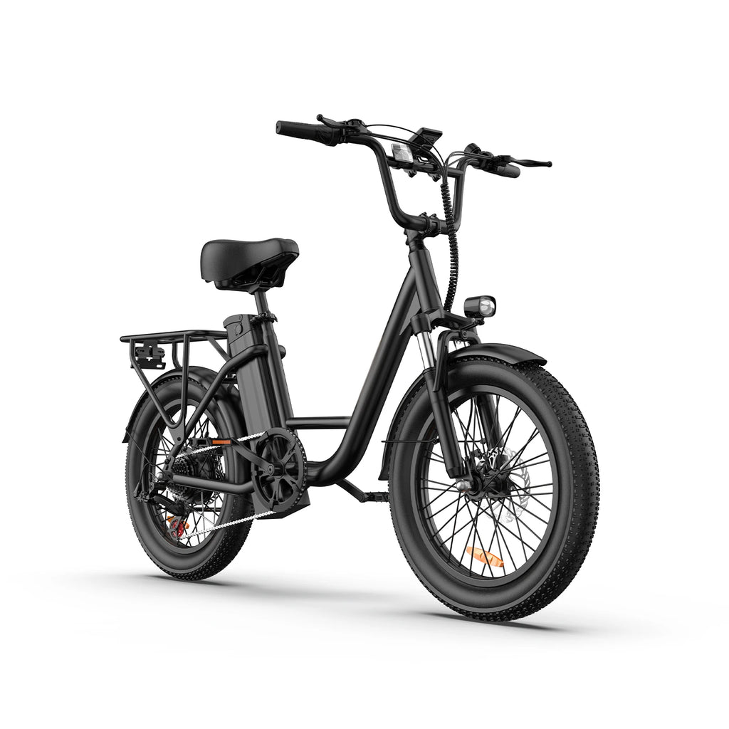 URLIFE E20 Electric Bike For Adults 250W Motor Electric Bike 48V 13AH 20 Inch Tires City Commuter Electric Bike