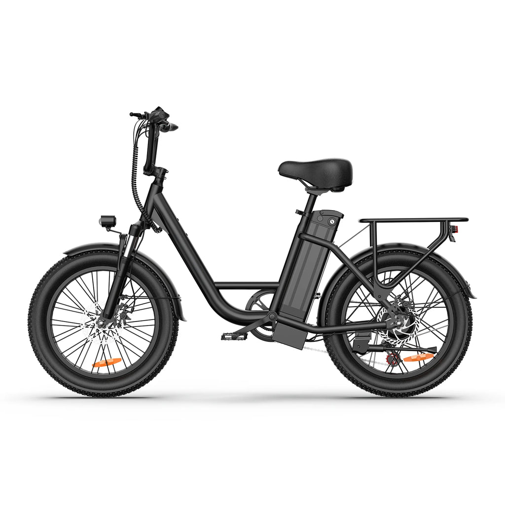 URLIFE E20 Electric Bike For Adults 250W Motor Electric Bike 48V 13AH 20 Inch Tires City Commuter Electric Bike
